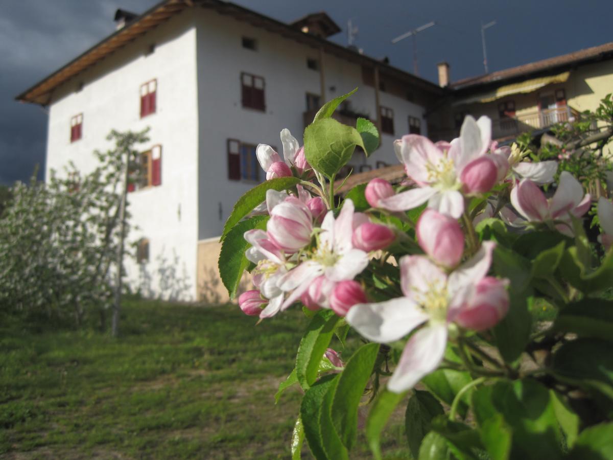 הוילה רומאנו Agritur Maso San Bartolomeo מראה חיצוני תמונה